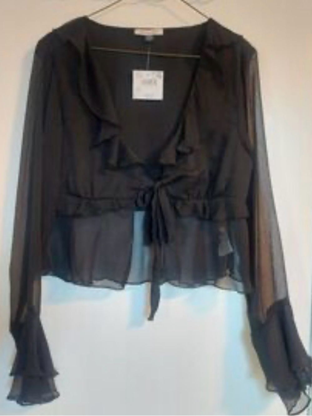 American Eagle Outfitters Black Ruffle V-Neck Sheer Sleeve Blouse - Picture 2 of 7